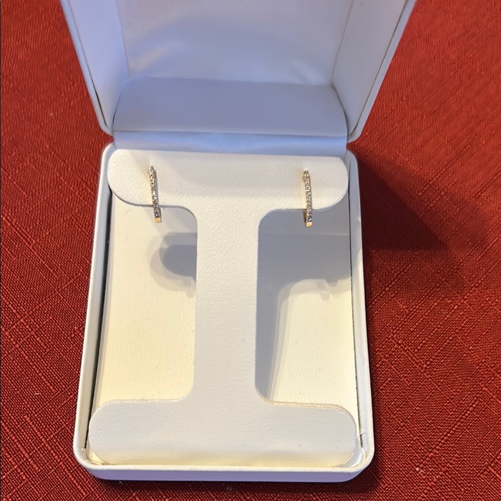 Elegant Gold Hoop Earrings